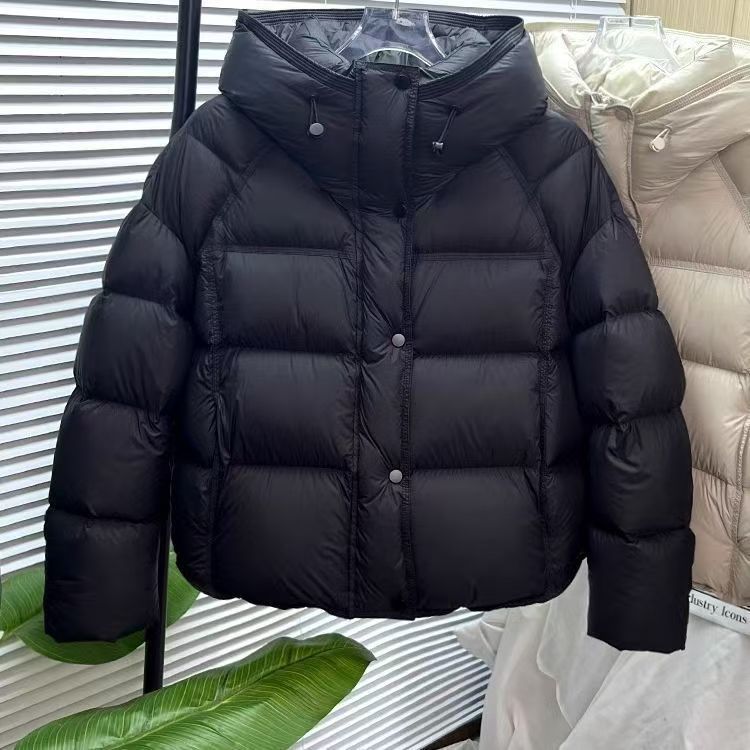 Veste courte matelassée à capuche – Couleur unie, coupe ample, coton rembourré, automne & hiver