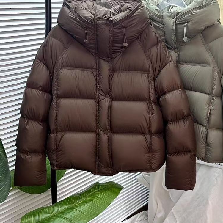 Veste courte matelassée à capuche – Couleur unie, coupe ample, coton rembourré, automne & hiver